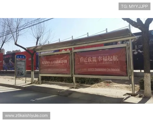 探索d88尊龙新版官网下载的独特功能与用户评价分析