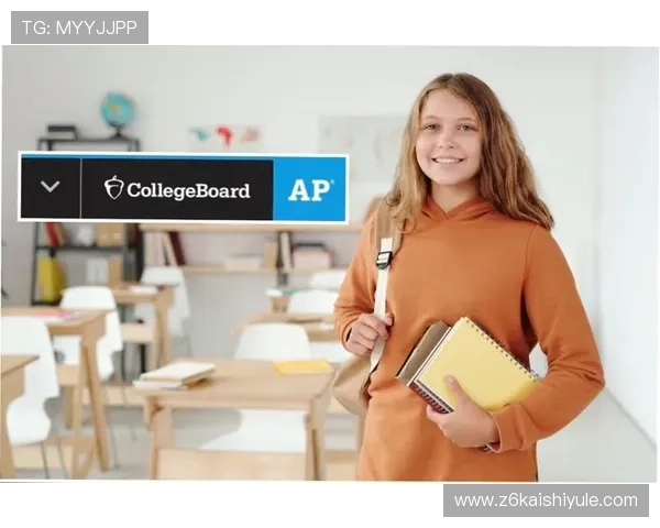 探索尊龙凯时正规网址的用户体验与评价标准