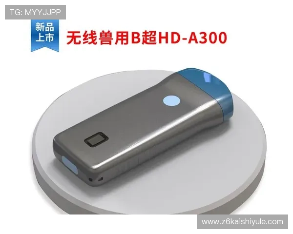 尊龙凯时网页提供最新安全保障和优质游戏体验的详细介绍