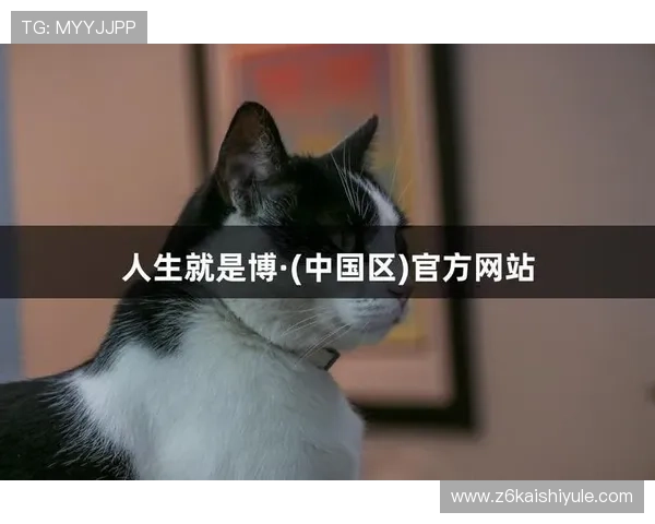 尊龙开始凯时人生就是博z6：从新手到高手的成长之路与实用技巧分享