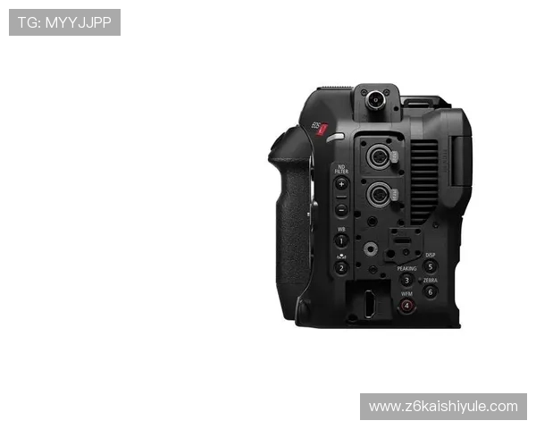 深度评测尊龙z6手机版，解析真实用户反馈